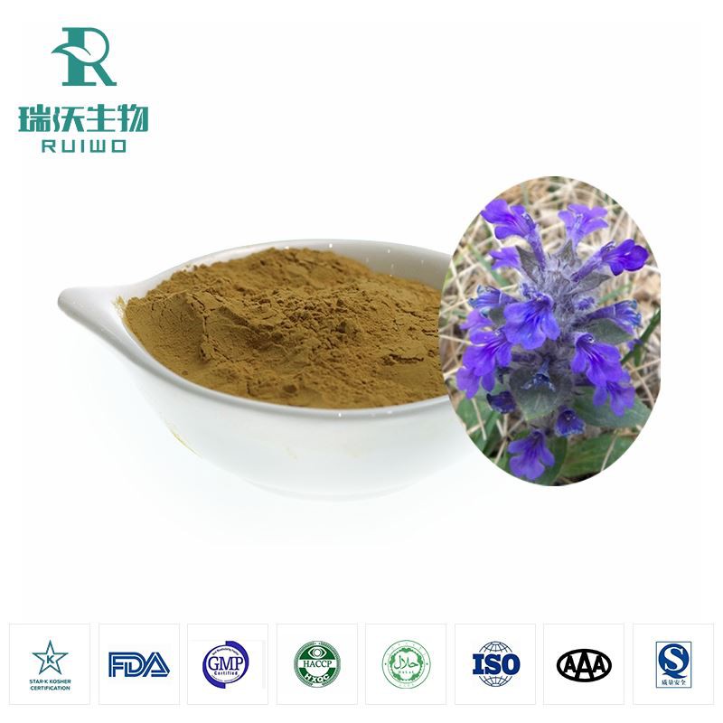 AJUGA TURKEST EXTRACT Powder