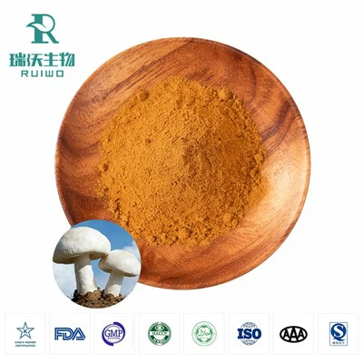 Чистый экстракт Agaricus Bisporus​​​